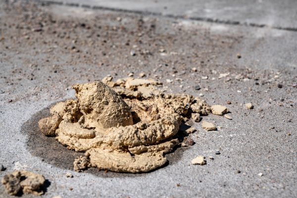 Cost of Driveway Slab Leveling in Castle Rock
